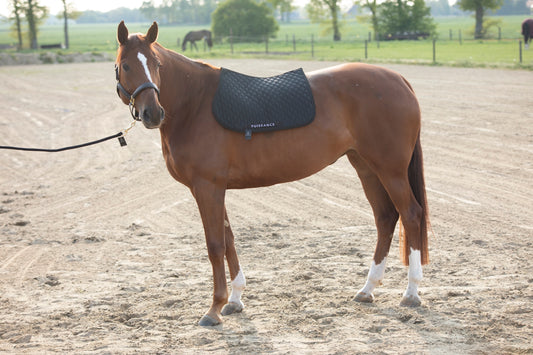 Zadeldoek barfi motief