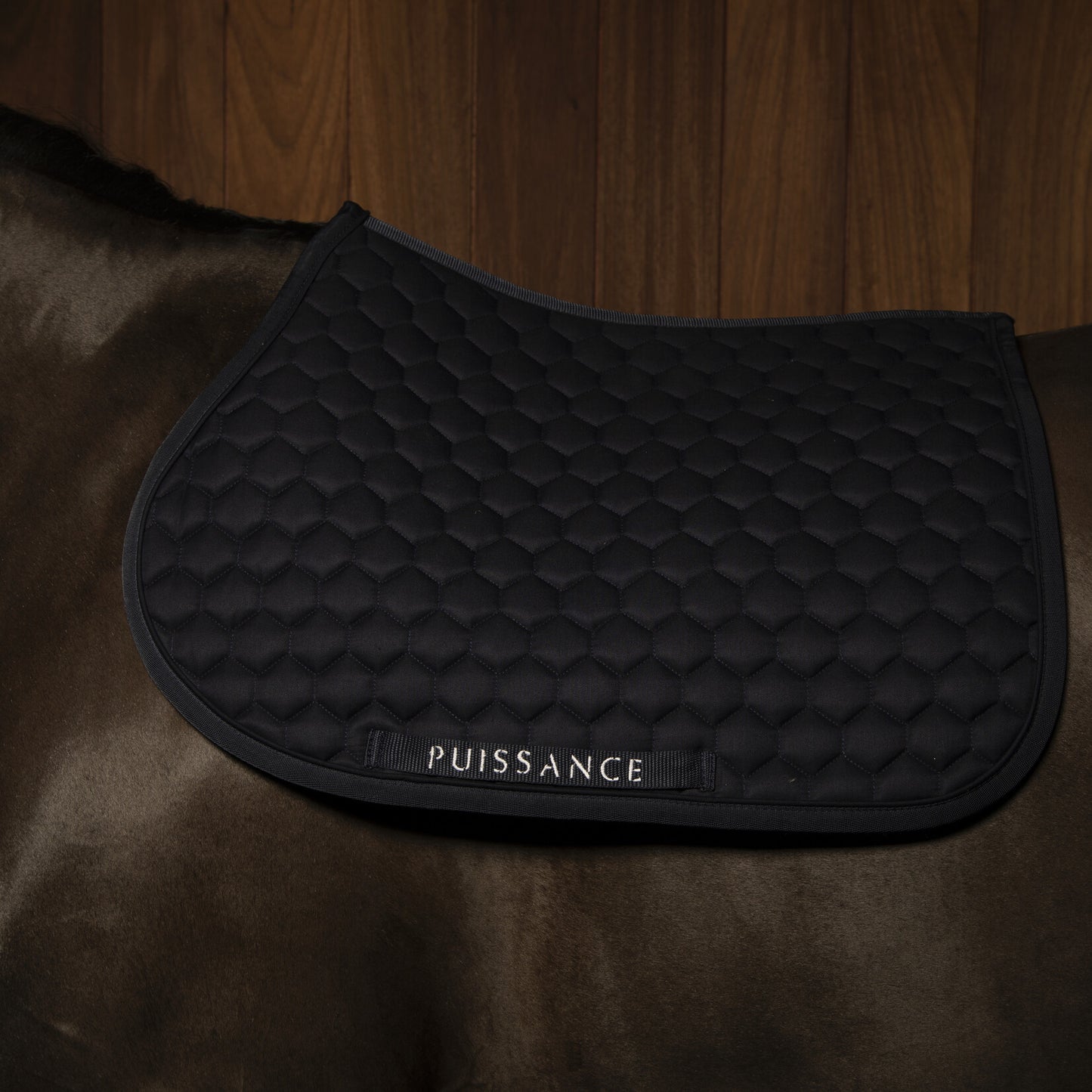 Zadeldoek ball motief