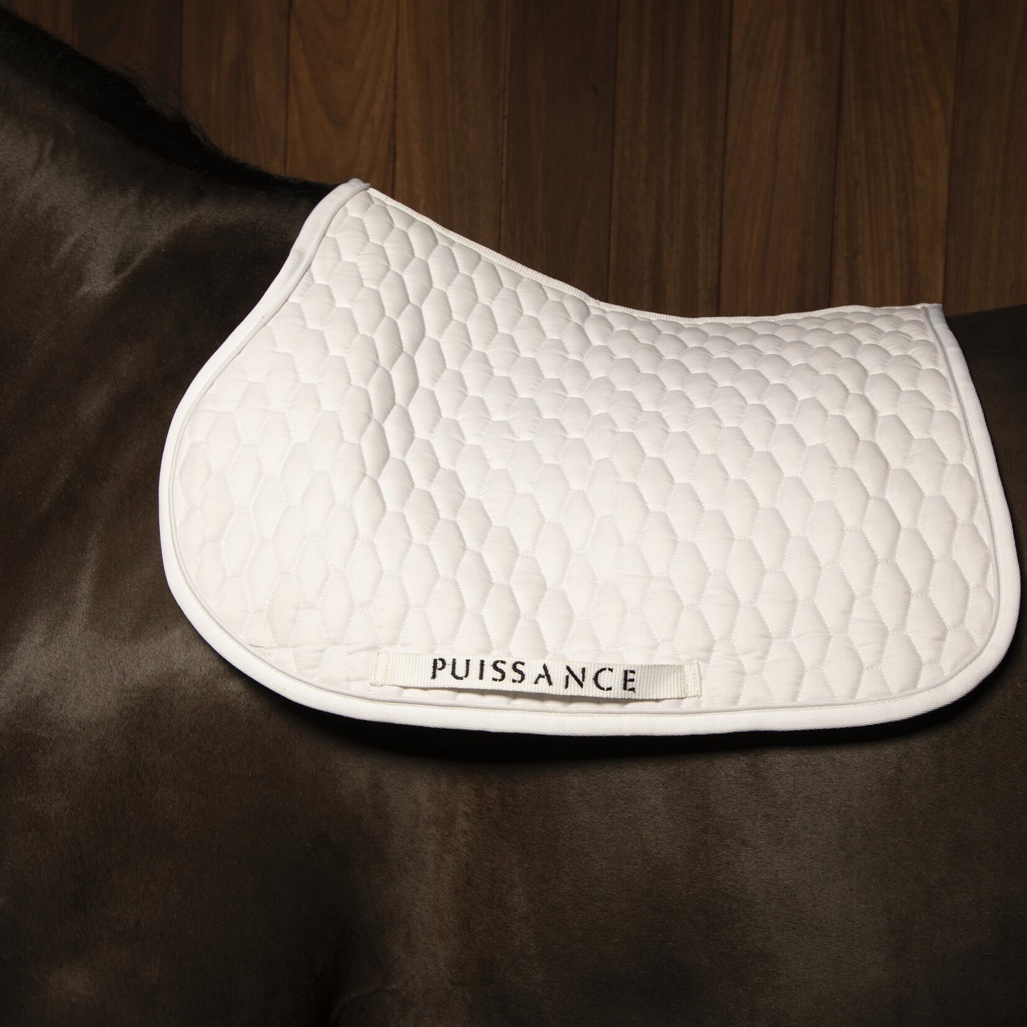 Zadeldoek barfi motief