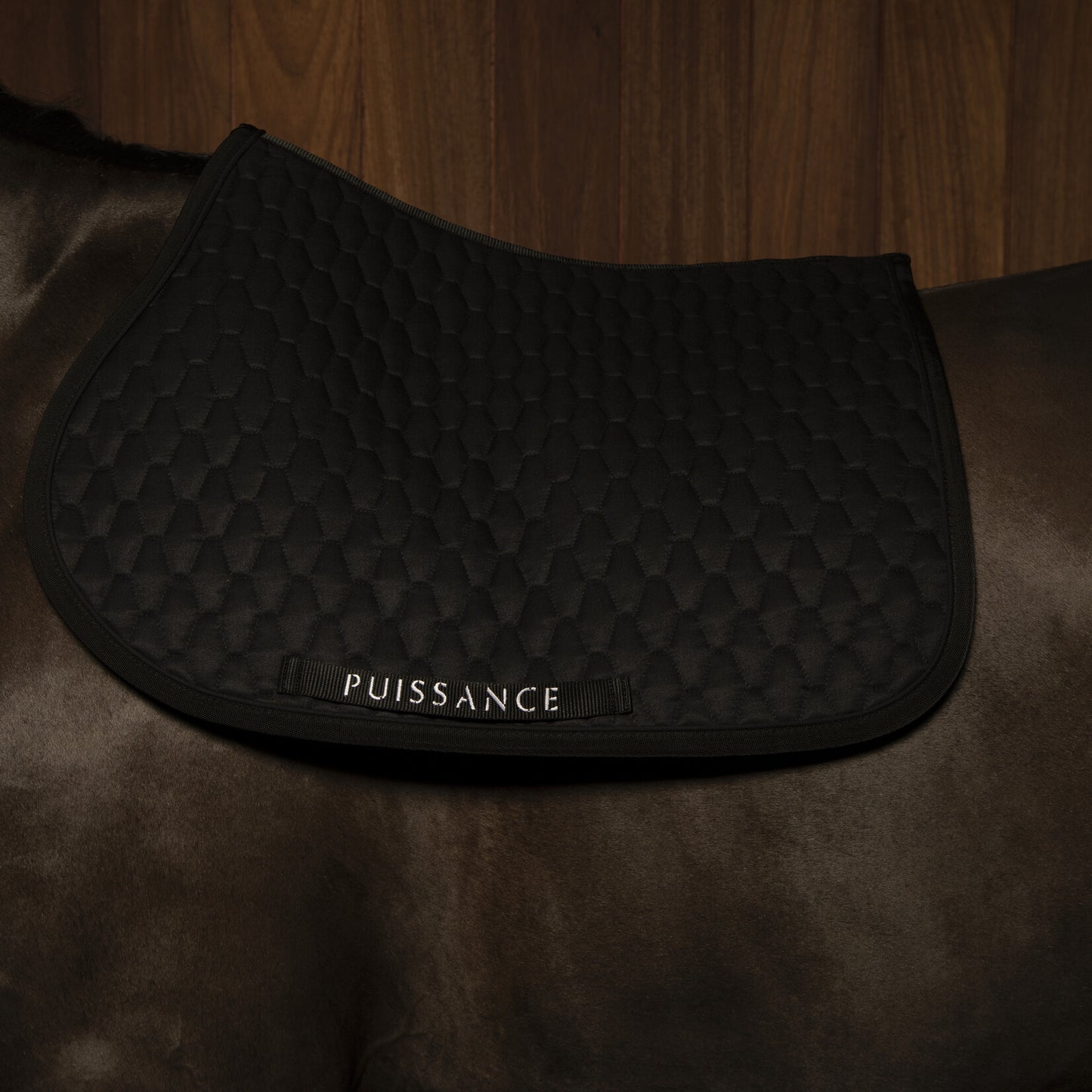 Zadeldoek barfi motief